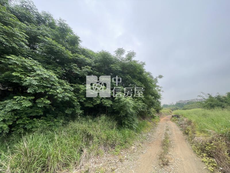沙鹿新光⽥院區保護區⽤地房屋室內格局與周邊環境