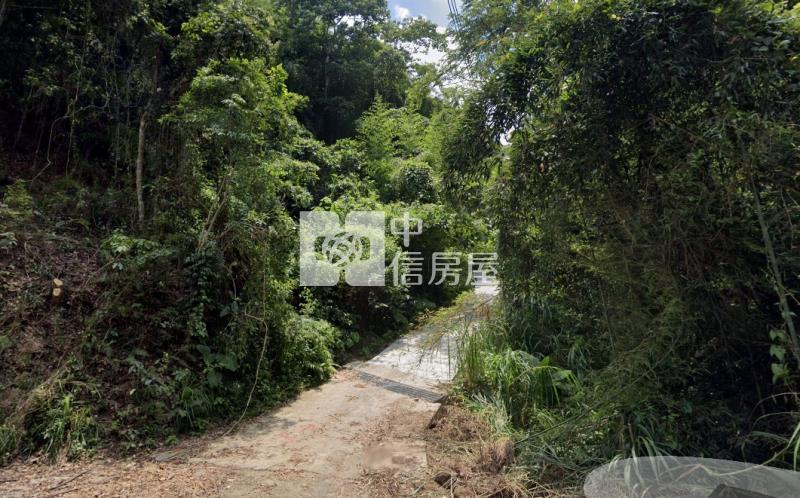大湖大坪數林地房屋室內格局與周邊環境