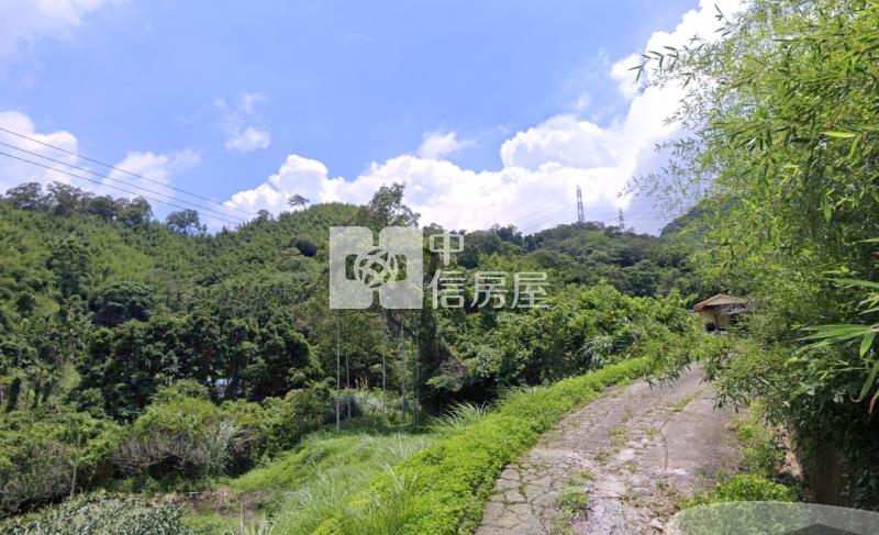 大湖大坪數林地房屋室內格局與周邊環境