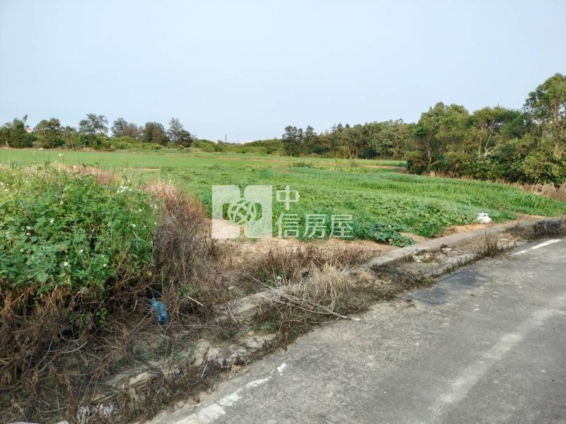 觀音下埔頂段一般農房屋室內格局與周邊環境