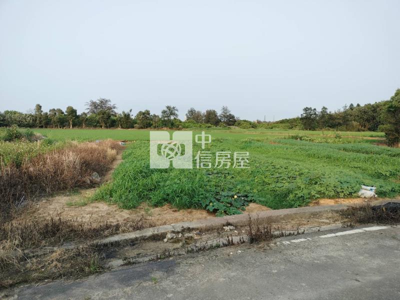 觀音下埔頂段一般農房屋室內格局與周邊環境