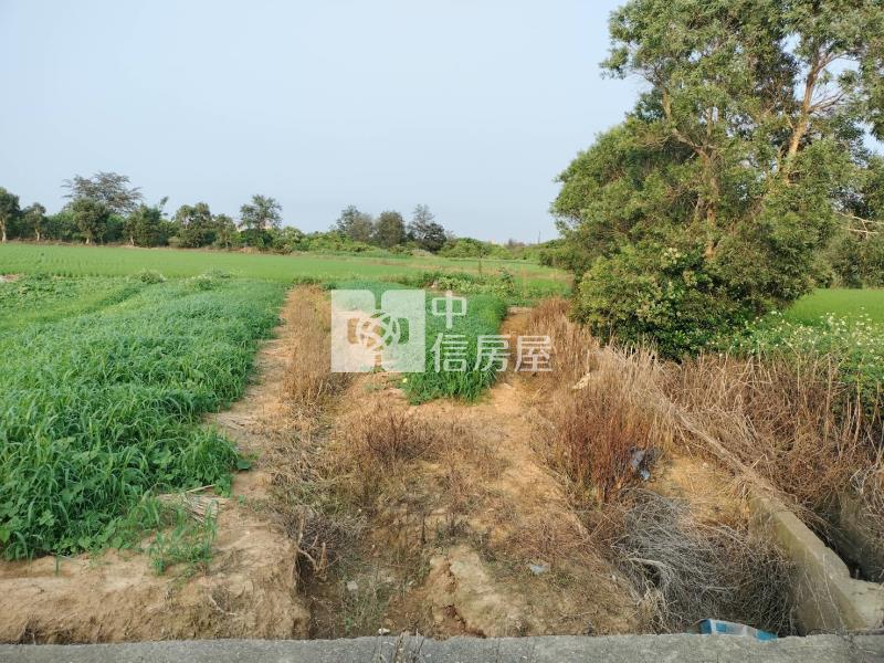 觀音下埔頂段一般農房屋室內格局與周邊環境