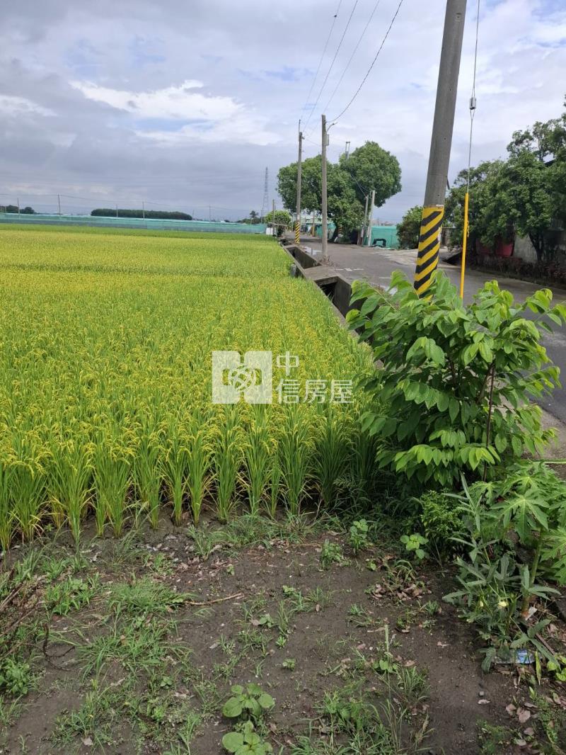 雲林二崙雙面臨路美農地-專房屋室內格局與周邊環境