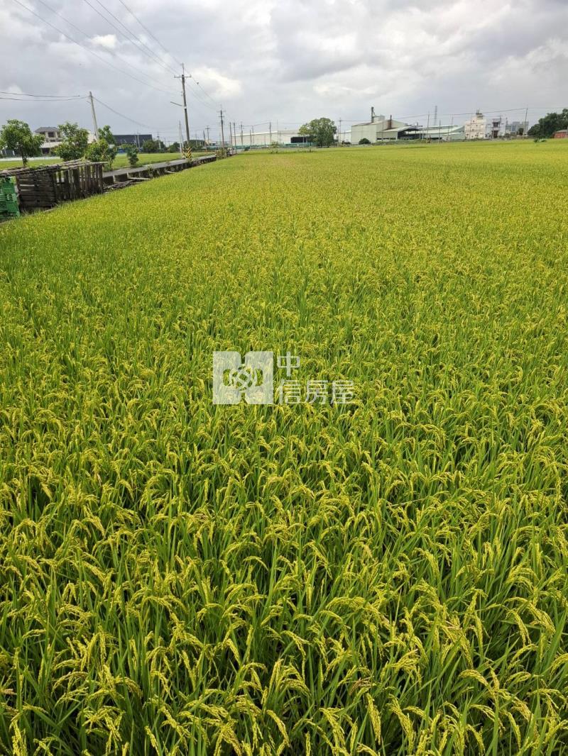 雲林二崙雙面臨路美農地-專房屋室內格局與周邊環境