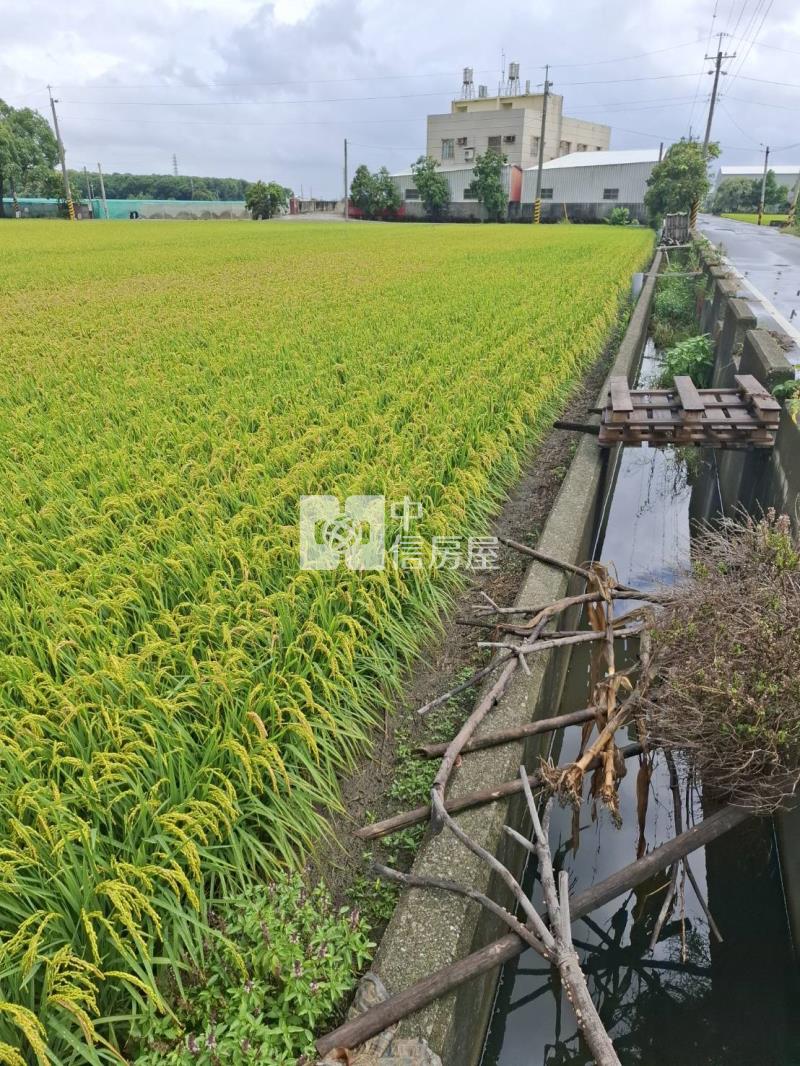 雲林二崙雙面臨路美農地-專房屋室內格局與周邊環境