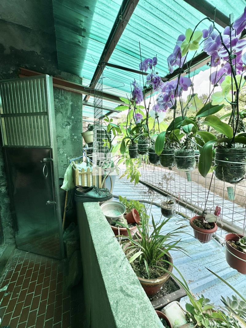台達電子旁.大地坪大面寬邊間活巷孝親房透天房屋室內格局與周邊環境