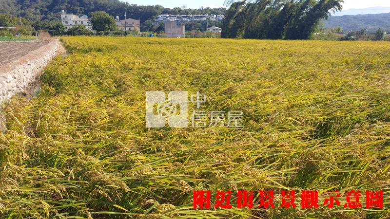 新埔都計內農房屋室內格局與周邊環境