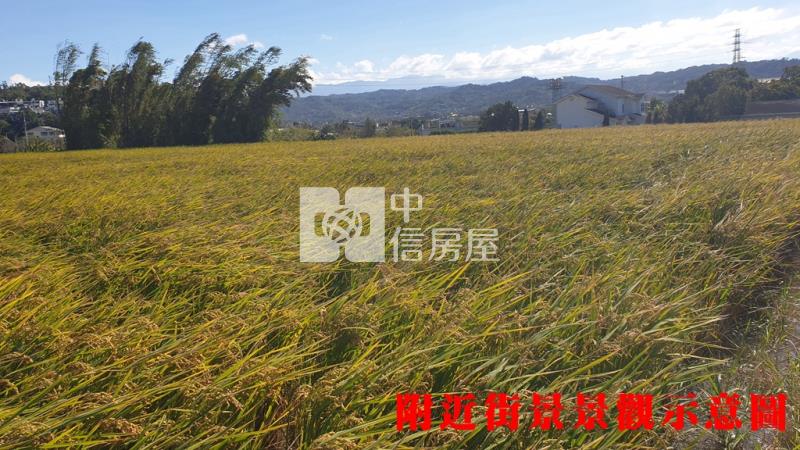 新埔都計內農房屋室內格局與周邊環境