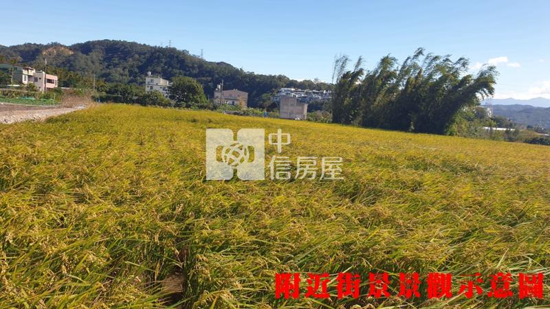 新埔都計內農房屋室內格局與周邊環境