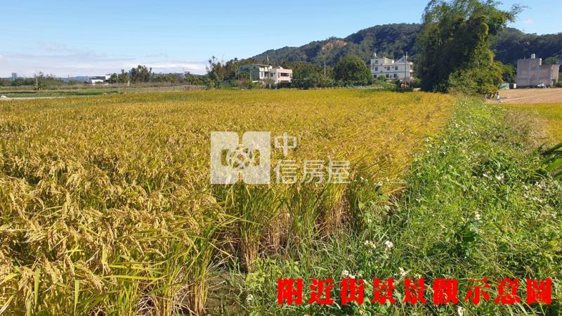 新埔都計內農房屋室內格局與周邊環境