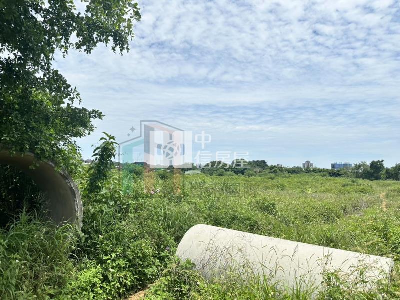 【豐禾】復旦路都計內小塊田房屋室內格局與周邊環境