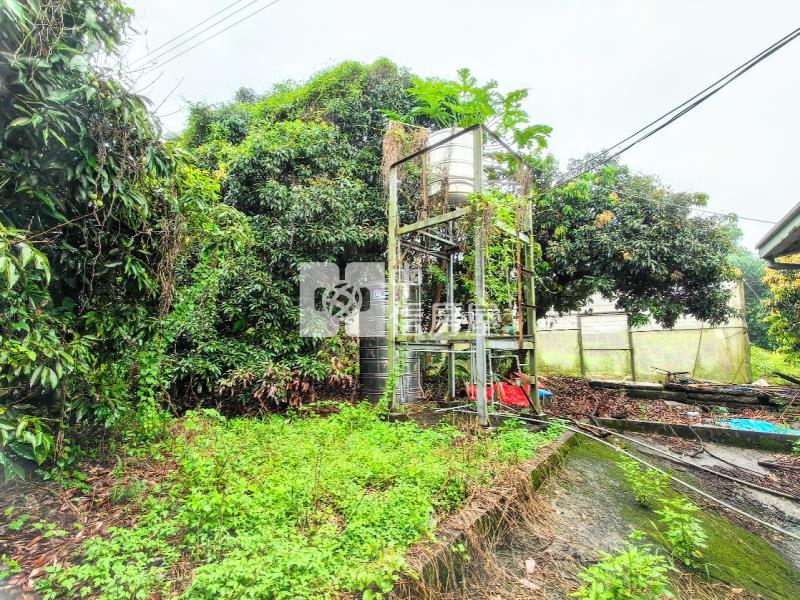 霧峰百坪丙建+千坪農地送合法農舍房屋室內格局與周邊環境