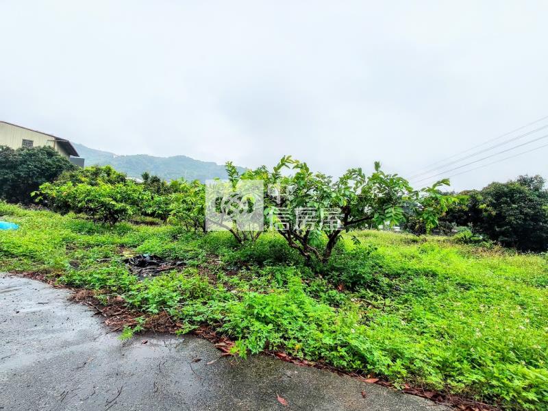霧峰百坪丙建+千坪農地送合法農舍房屋室內格局與周邊環境