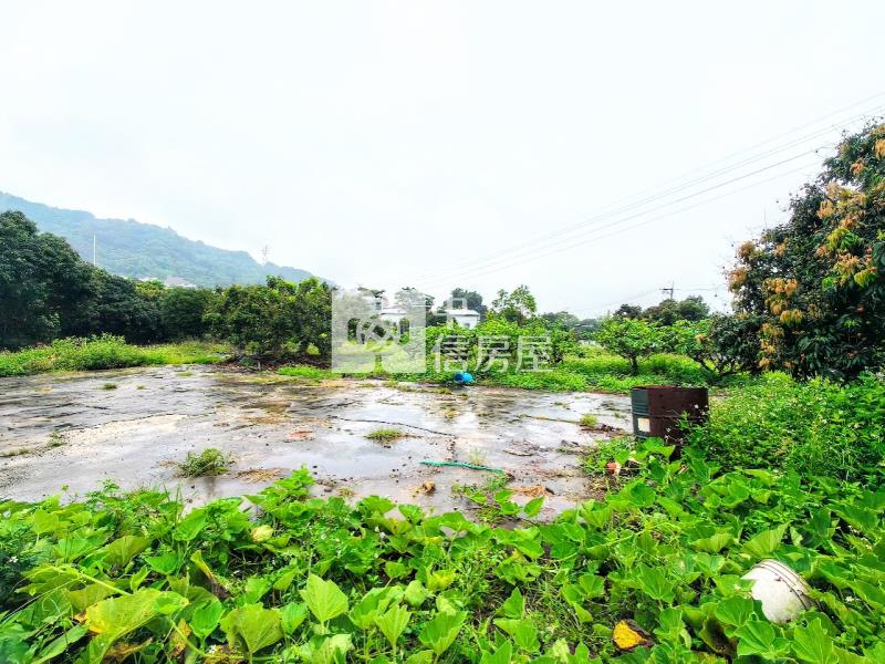 霧峰百坪丙建+千坪農地送合法農舍房屋室內格局與周邊環境
