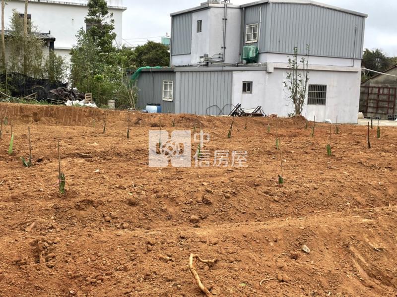 【新世紀】新屋東興路一段美田房屋室內格局與周邊環境
