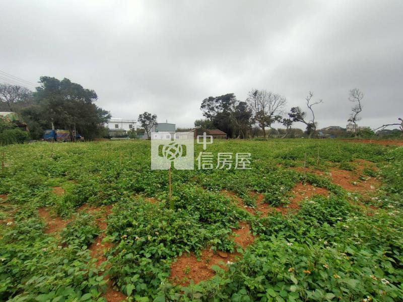 【新世紀】新屋東興路一段美田房屋室內格局與周邊環境