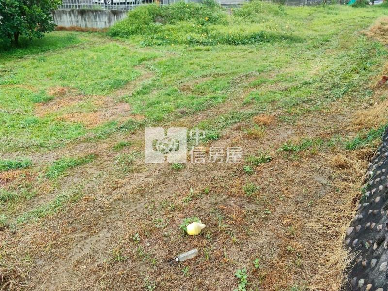 斗六虎溪農舍+建地房屋室內格局與周邊環境