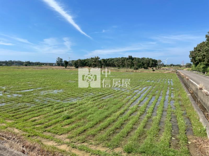 新屋區61快速道路一般農房屋室內格局與周邊環境