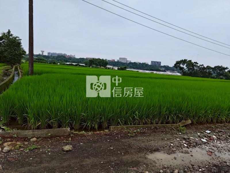 八德農地鄰近新興路房屋室內格局與周邊環境