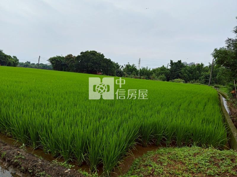 八德農地鄰近新興路房屋室內格局與周邊環境