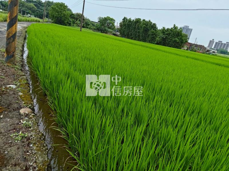 八德農地鄰近新興路房屋室內格局與周邊環境