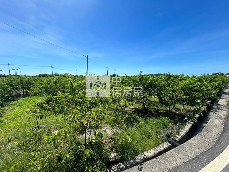 G2-139荒野三角窗農地(專任)房屋室內格局與周邊環境