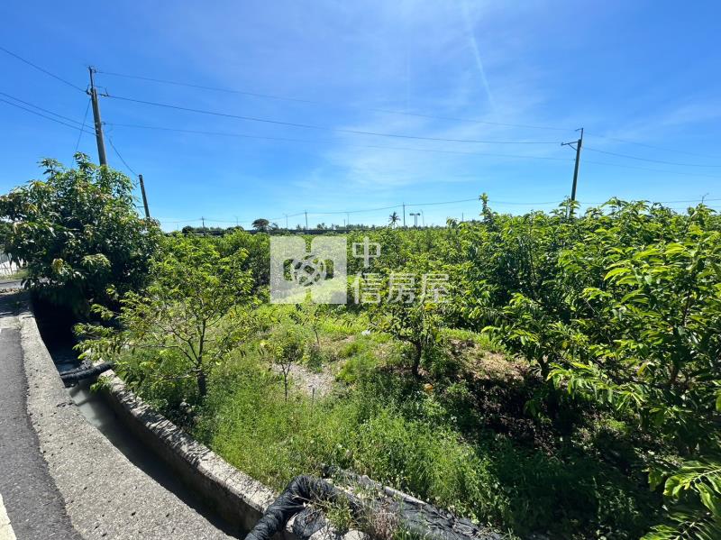 G2-139荒野三角窗農地(專任)房屋室內格局與周邊環境