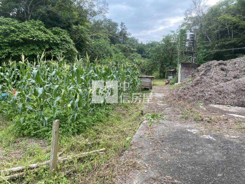 新竹縣關西鎮土地房屋室內格局與周邊環境