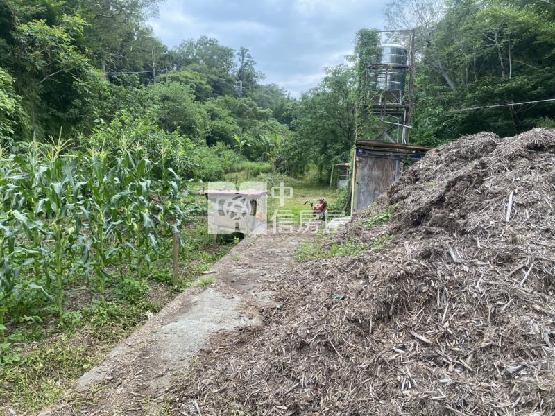 新竹縣關西鎮土地房屋室內格局與周邊環境