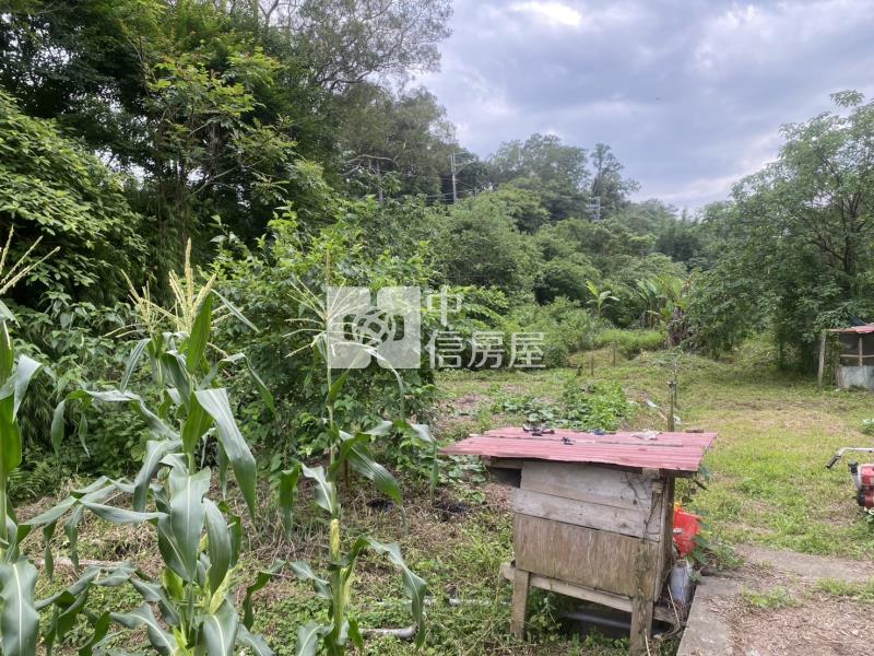 新竹縣關西鎮土地房屋室內格局與周邊環境