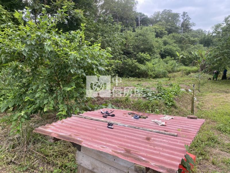 新竹縣關西鎮土地房屋室內格局與周邊環境