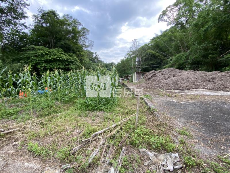 新竹縣關西鎮土地房屋室內格局與周邊環境