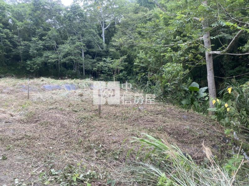 新竹縣關西鎮土地房屋室內格局與周邊環境