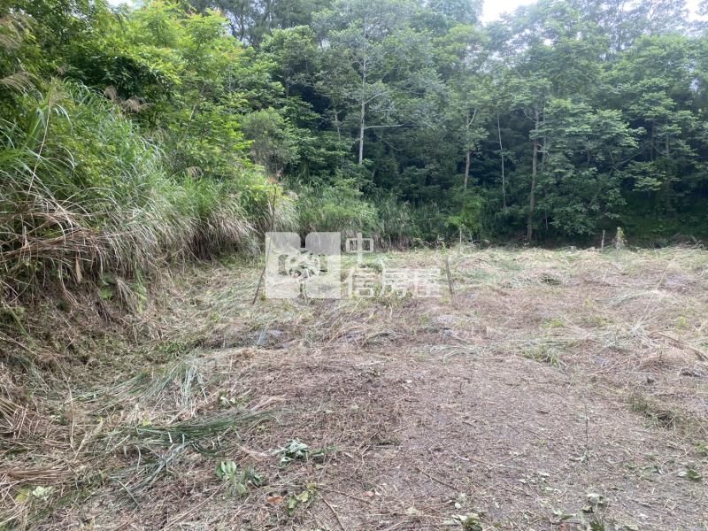 新竹縣關西鎮土地房屋室內格局與周邊環境