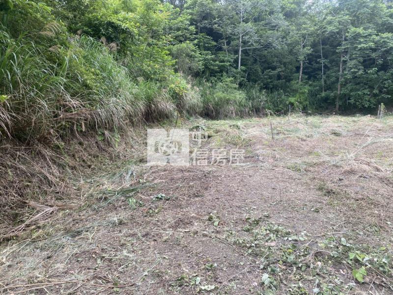 新竹縣關西鎮土地房屋室內格局與周邊環境