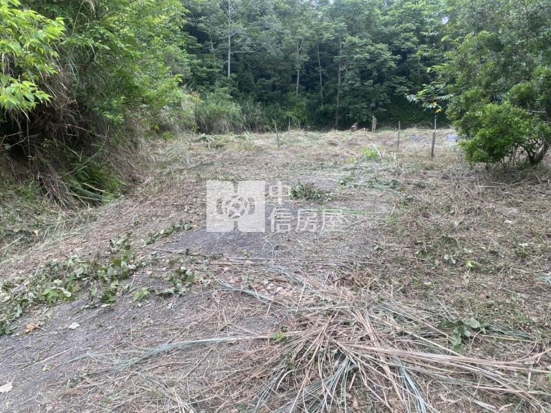 新竹縣關西鎮土地房屋室內格局與周邊環境