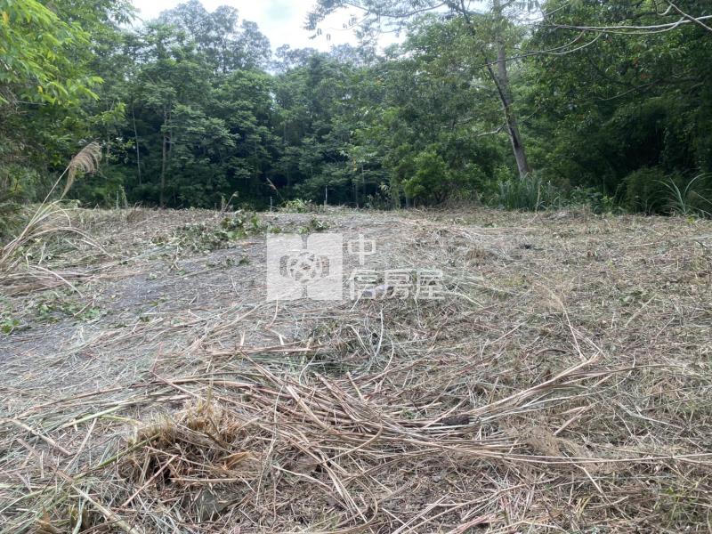 新竹縣關西鎮土地房屋室內格局與周邊環境