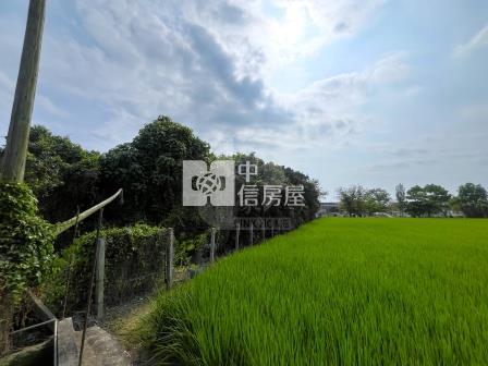 屏東土地-枋寮建興都農美地房屋室內格局與周邊環境