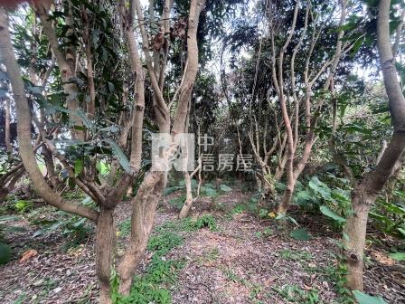 屏東土地-枋寮建興都農美地房屋室內格局與周邊環境