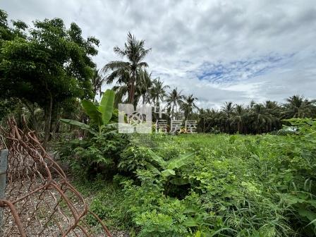 屏東土地-鹽埔便宜農保地房屋室內格局與周邊環境