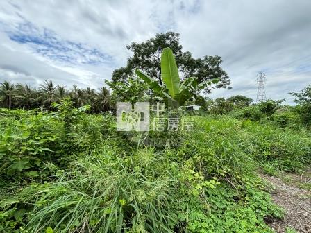屏東土地-鹽埔便宜農保地房屋室內格局與周邊環境