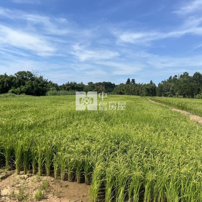 【新世紀】新屋永安西濱旁一般農房屋室內格局與周邊環境