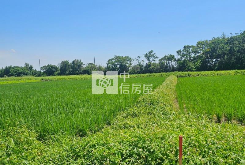 【安家】新屋後湖6米路美農地房屋室內格局與周邊環境