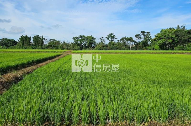 【安家】新屋後湖6米路美農地房屋室內格局與周邊環境