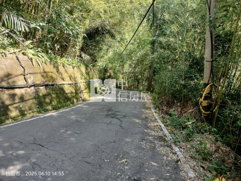 小烏來員保地農加建房屋室內格局與周邊環境