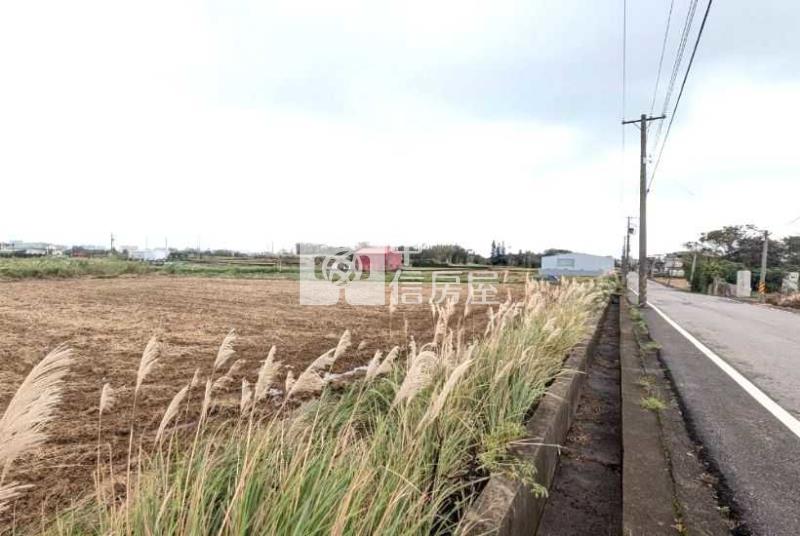 觀音嘉富路【上大國小】正10米路旁農地786坪房屋室內格局與周邊環境