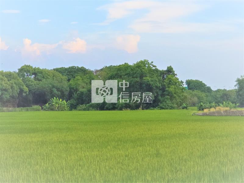 嶺東科大商圈都計內農地房屋室內格局與周邊環境