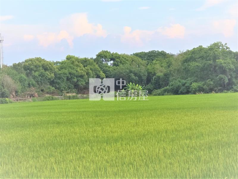 嶺東科大商圈都計內農地房屋室內格局與周邊環境