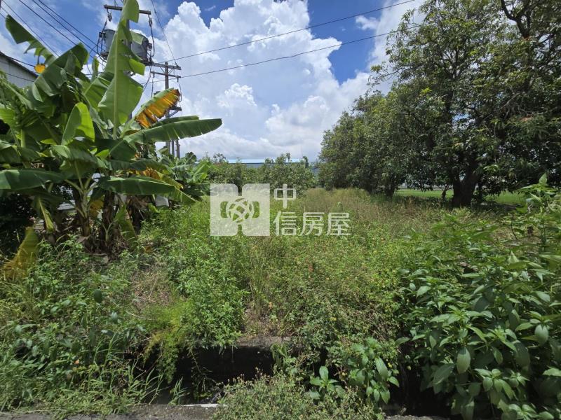 岡山超值臨路農地房屋室內格局與周邊環境
