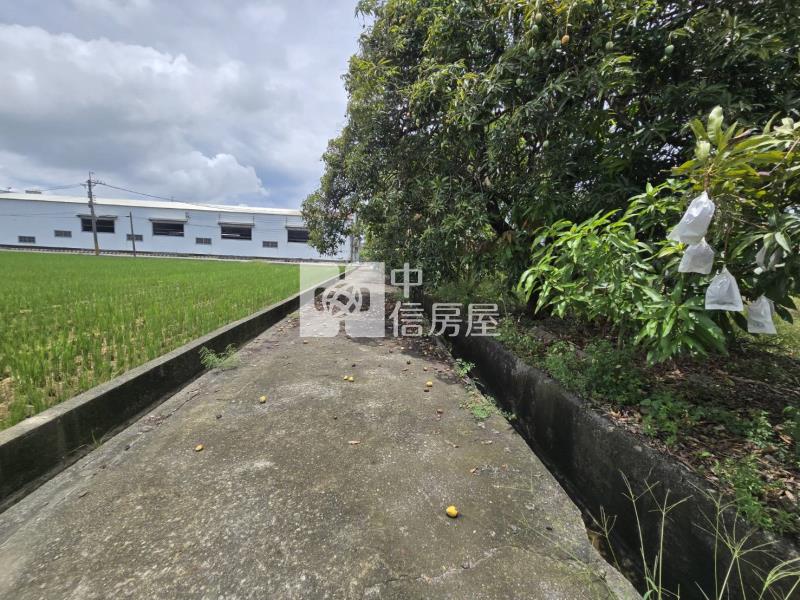 岡山超值臨路農地房屋室內格局與周邊環境
